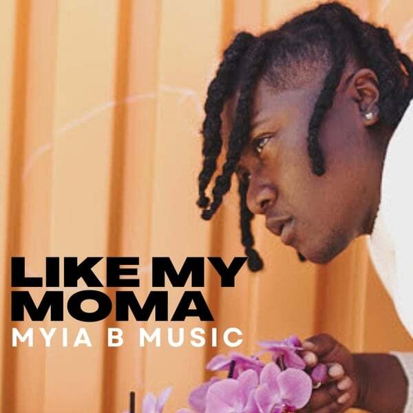 Cover art for Like My Moma